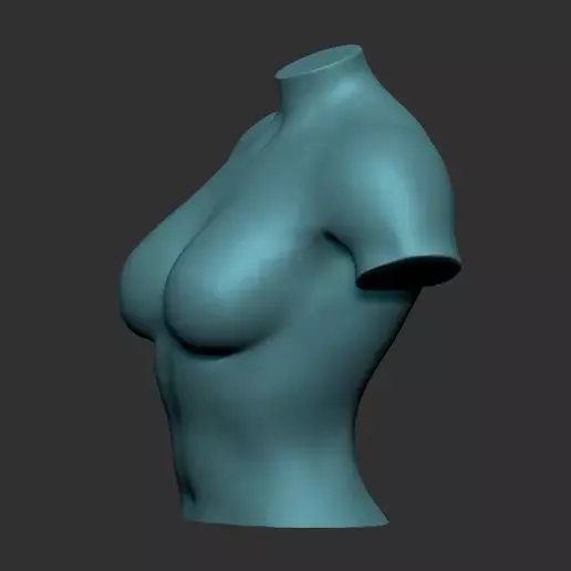Female Body Stand 3D Model for Fashion Display 3D Printing 3D model_5