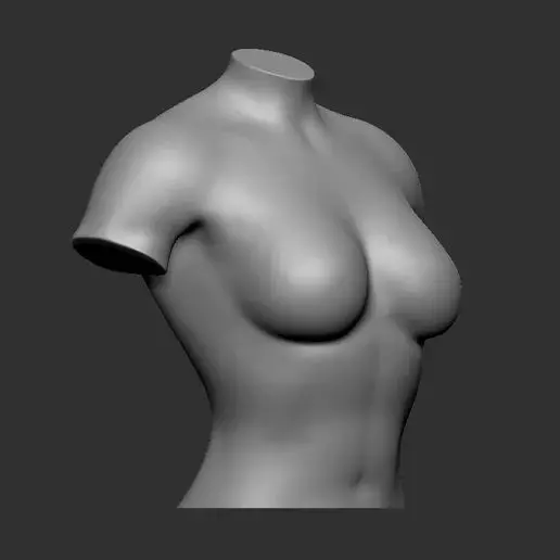 Female Body Stand 3D Model for Fashion Display 3D Printing 3D model_0