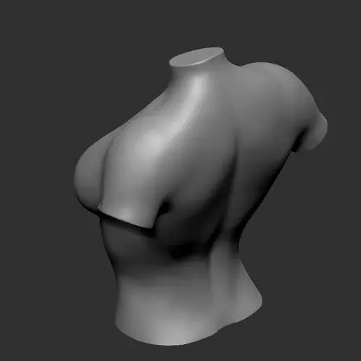 Female Body Stand 3D Model for Fashion Display 3D Printing 3D model_6