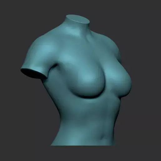 Female Body Stand 3D Model for Fashion Display 3D Printing 3D model_1