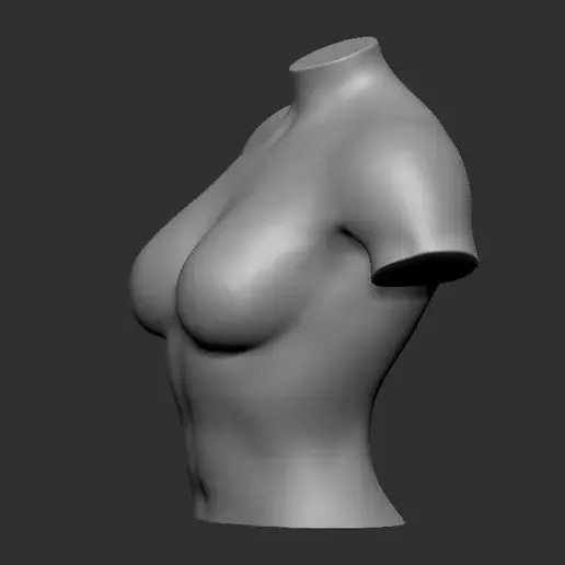 Female Body Stand 3D Model for Fashion Display 3D Printing 3D model_4
