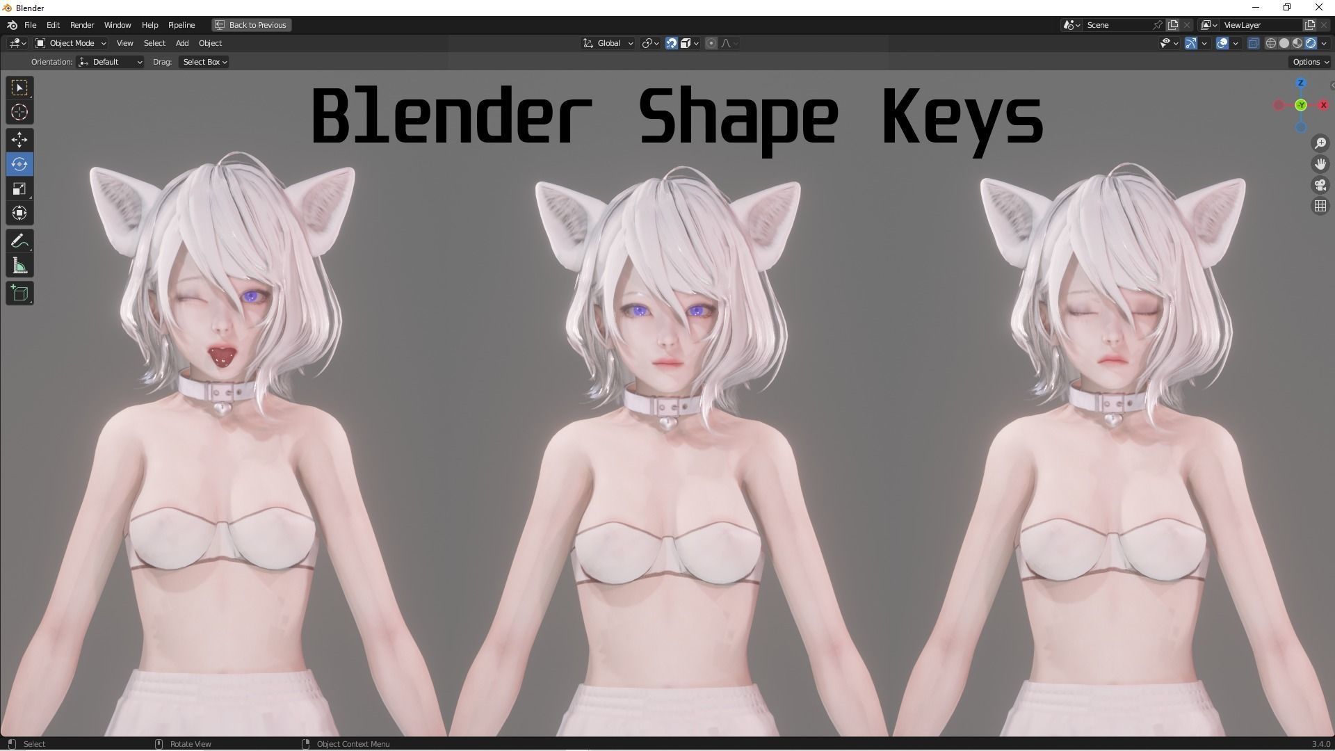 Cat Girl Cosplay - Realistic Female Character - Blender Eevee Low-poly 3D model_3