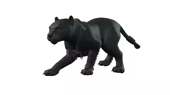 Jaguar Black Panther