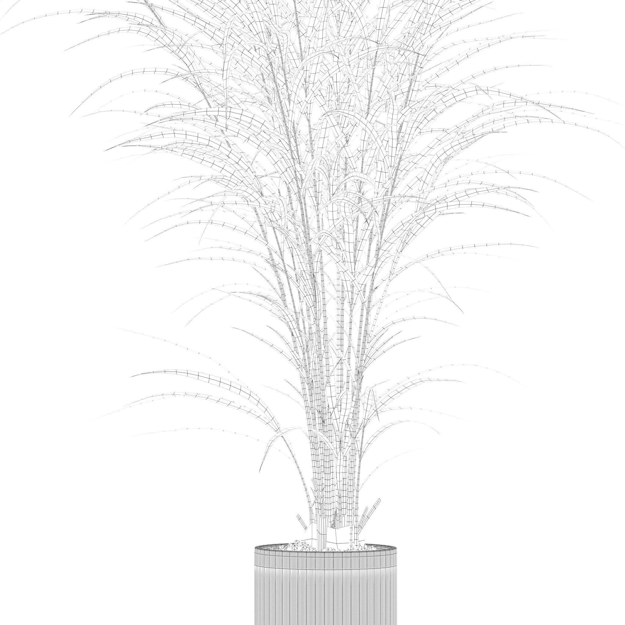 Plants collection 201 - strelitzia cactus palm ficus alocasia 3D model_10