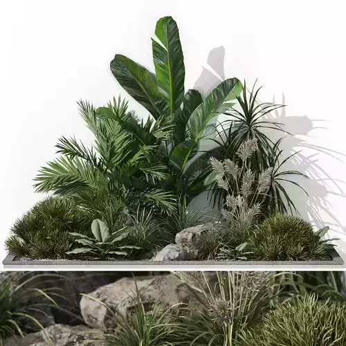 Plants collection 1044 3D model