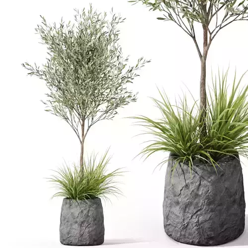 Plants collection 1045