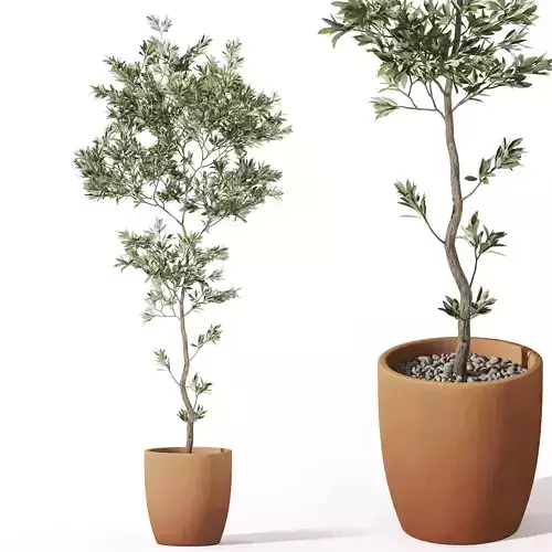 Plants collection 1048