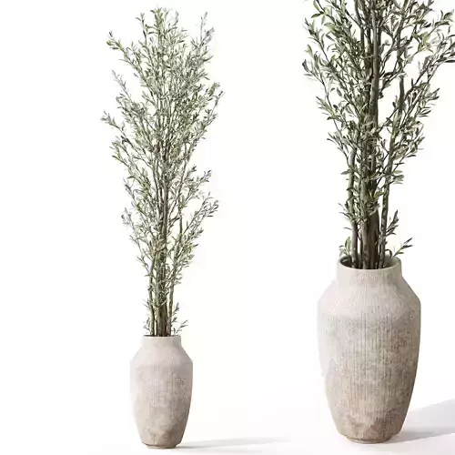 Plants collection 1051