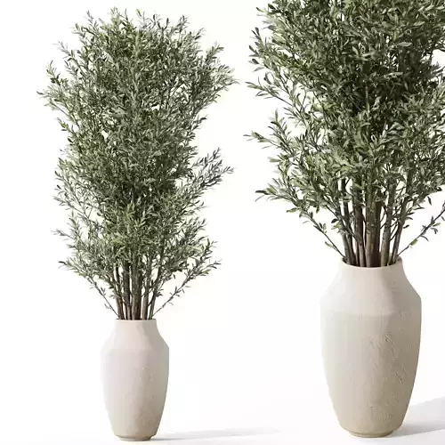 Plants collection 1052