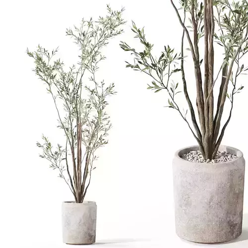 Plants collection 1053