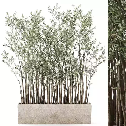 Plants collection 1054