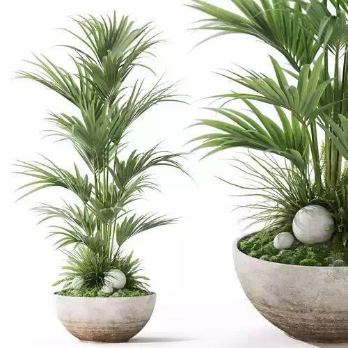 Plants collection 1056