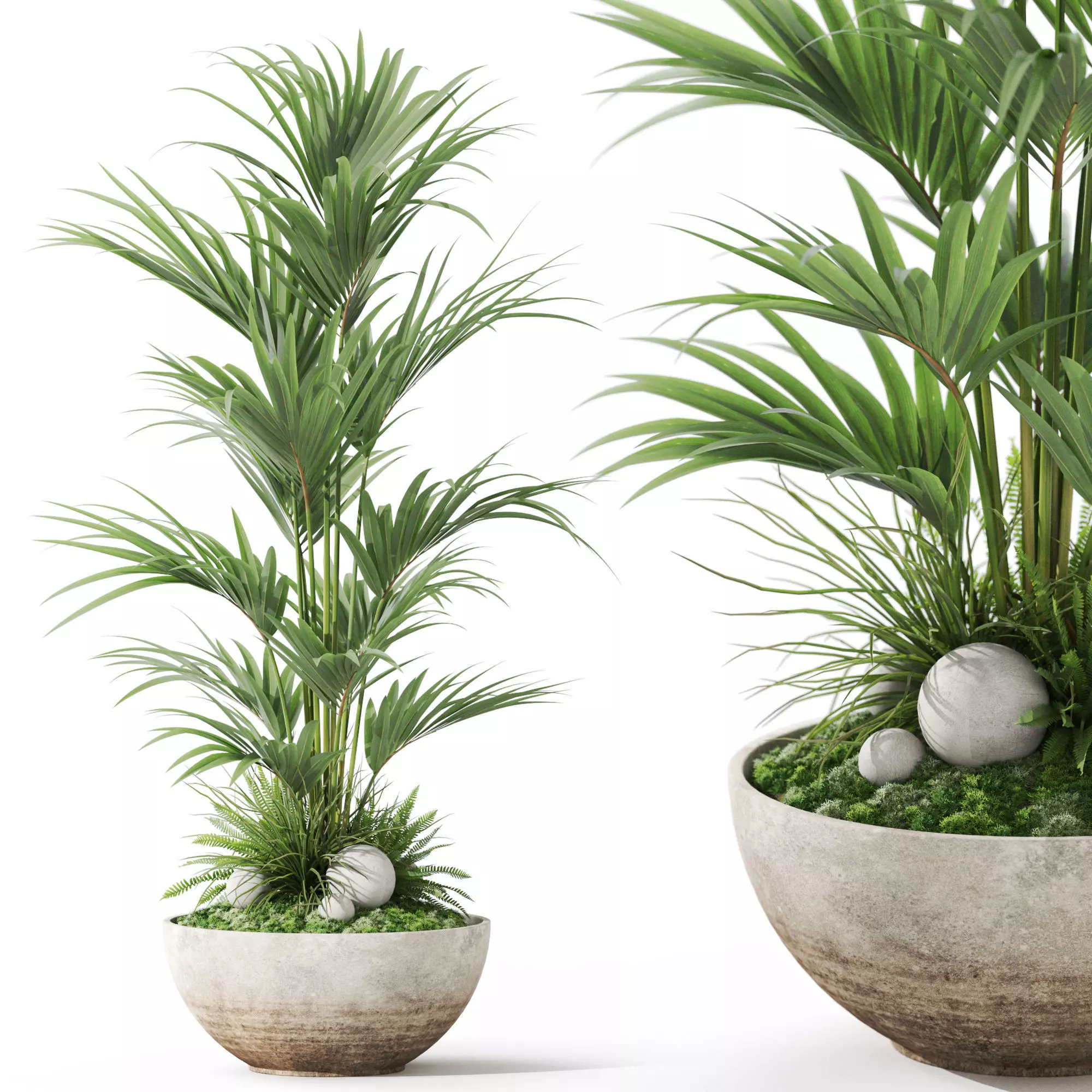 Plants collection 1056 3D model