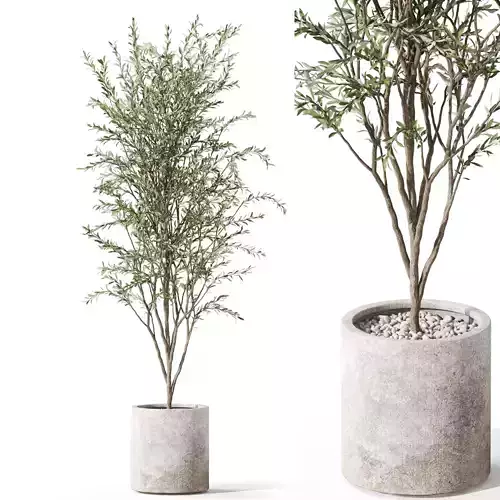 Plants collection 1058