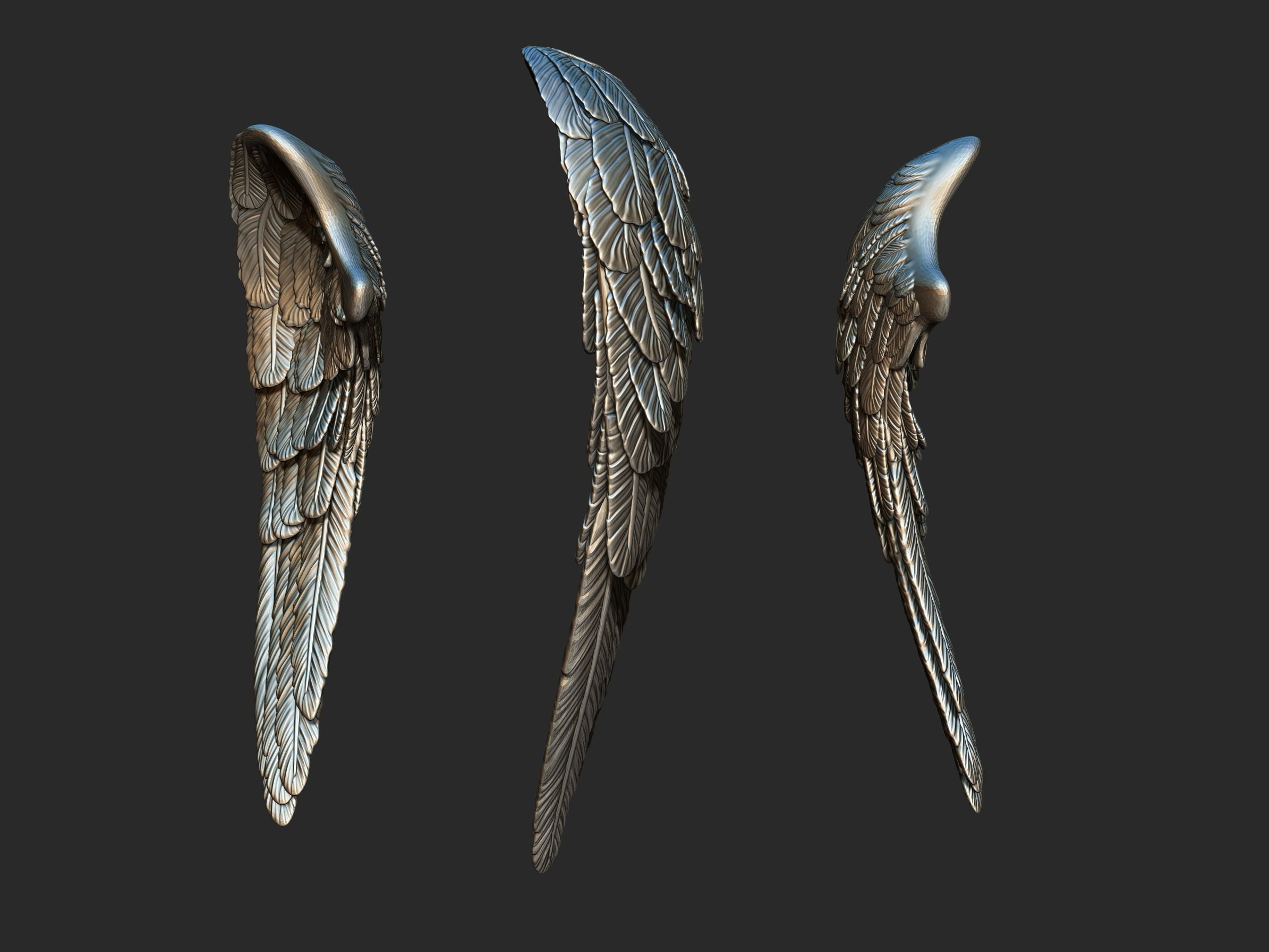 Wings 3d printing model 3D print model_5