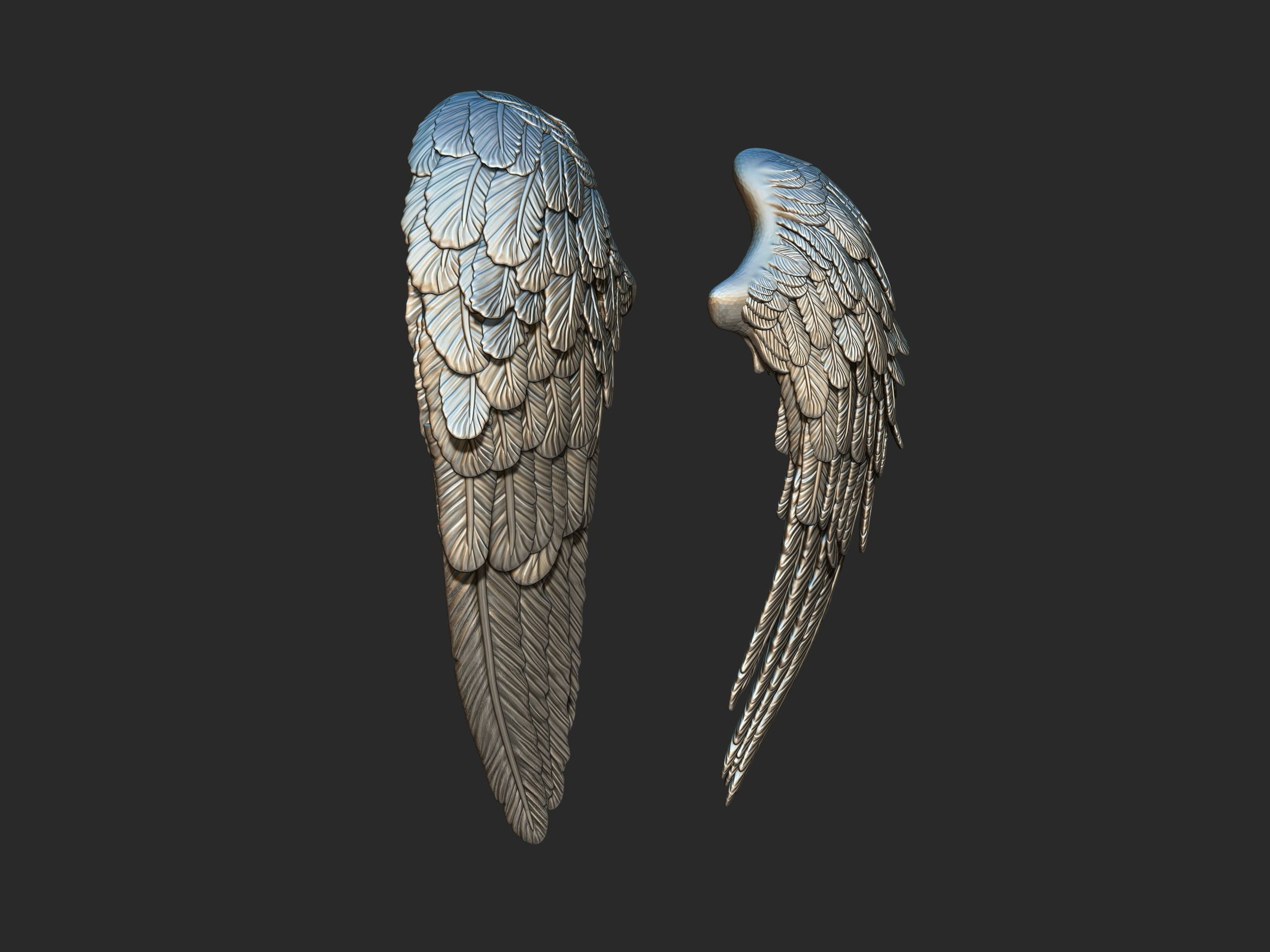 Wings 3d printing model 3D print model_4