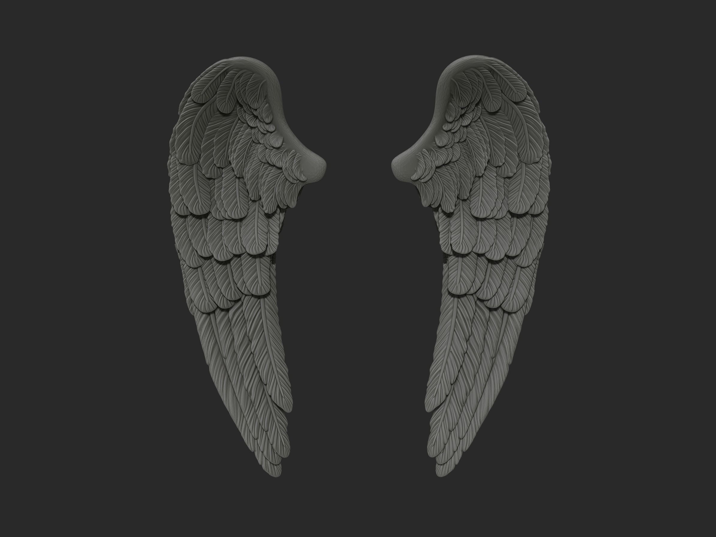 Wings 3d printing model 3D print model_2