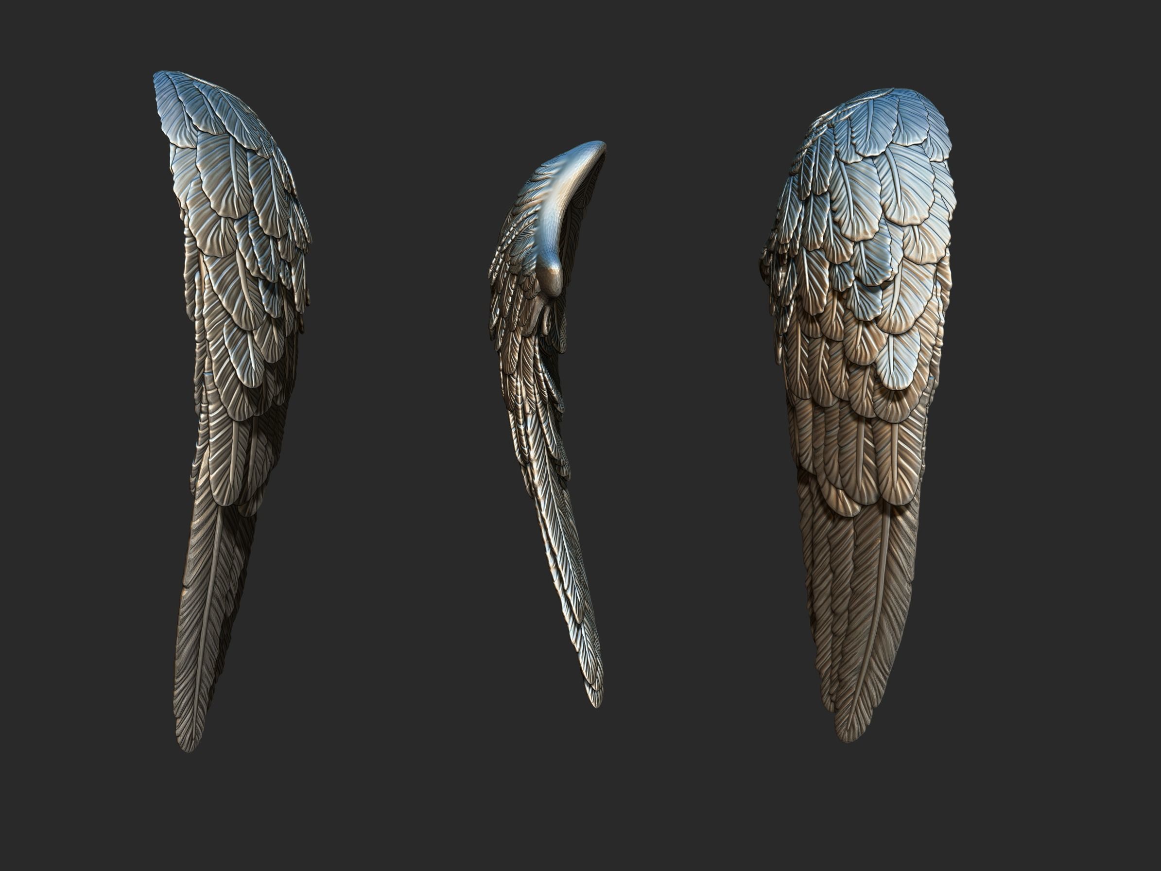 Wings 3d printing model 3D print model_6