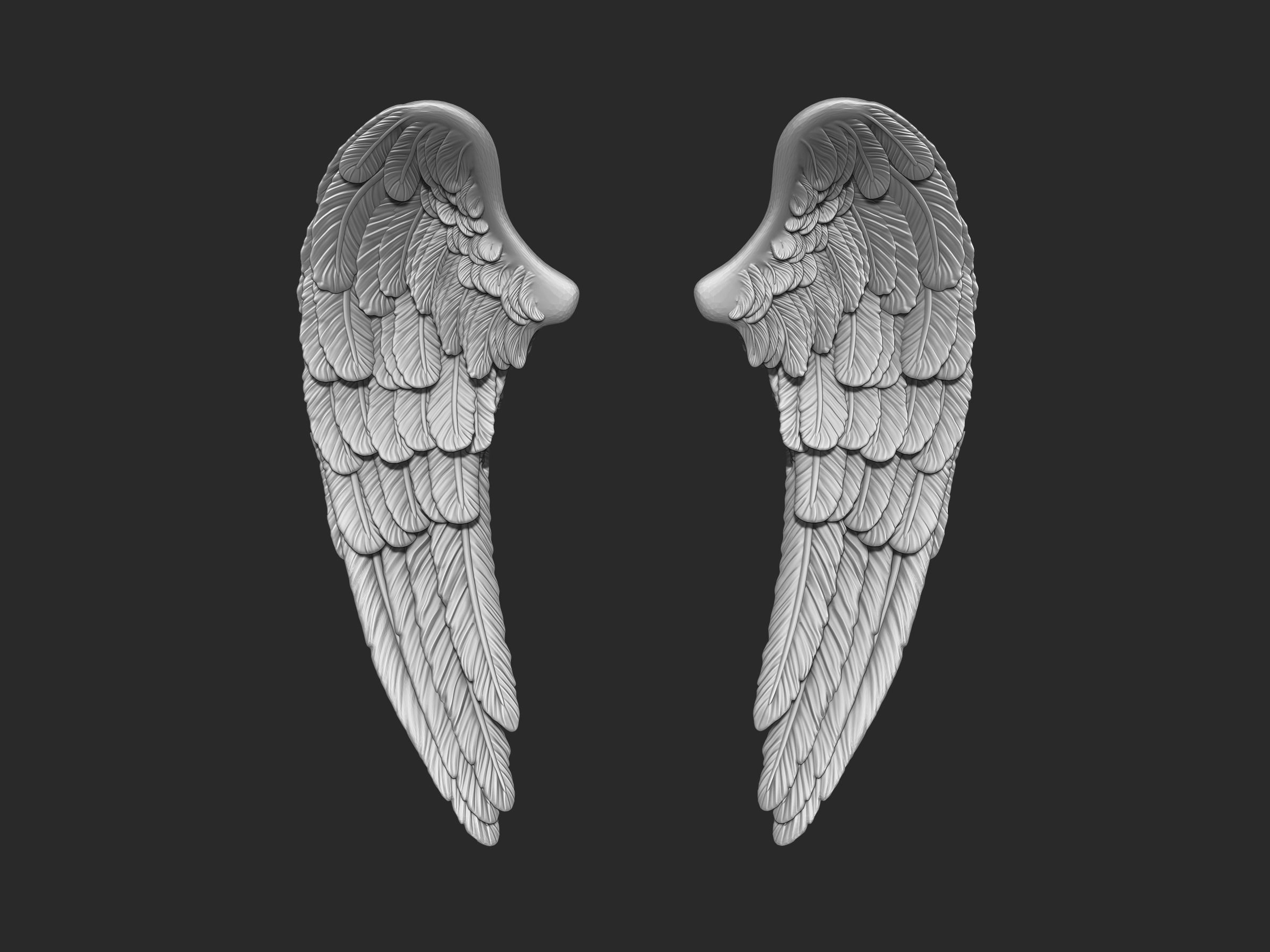 Wings 3d printing model 3D print model_1