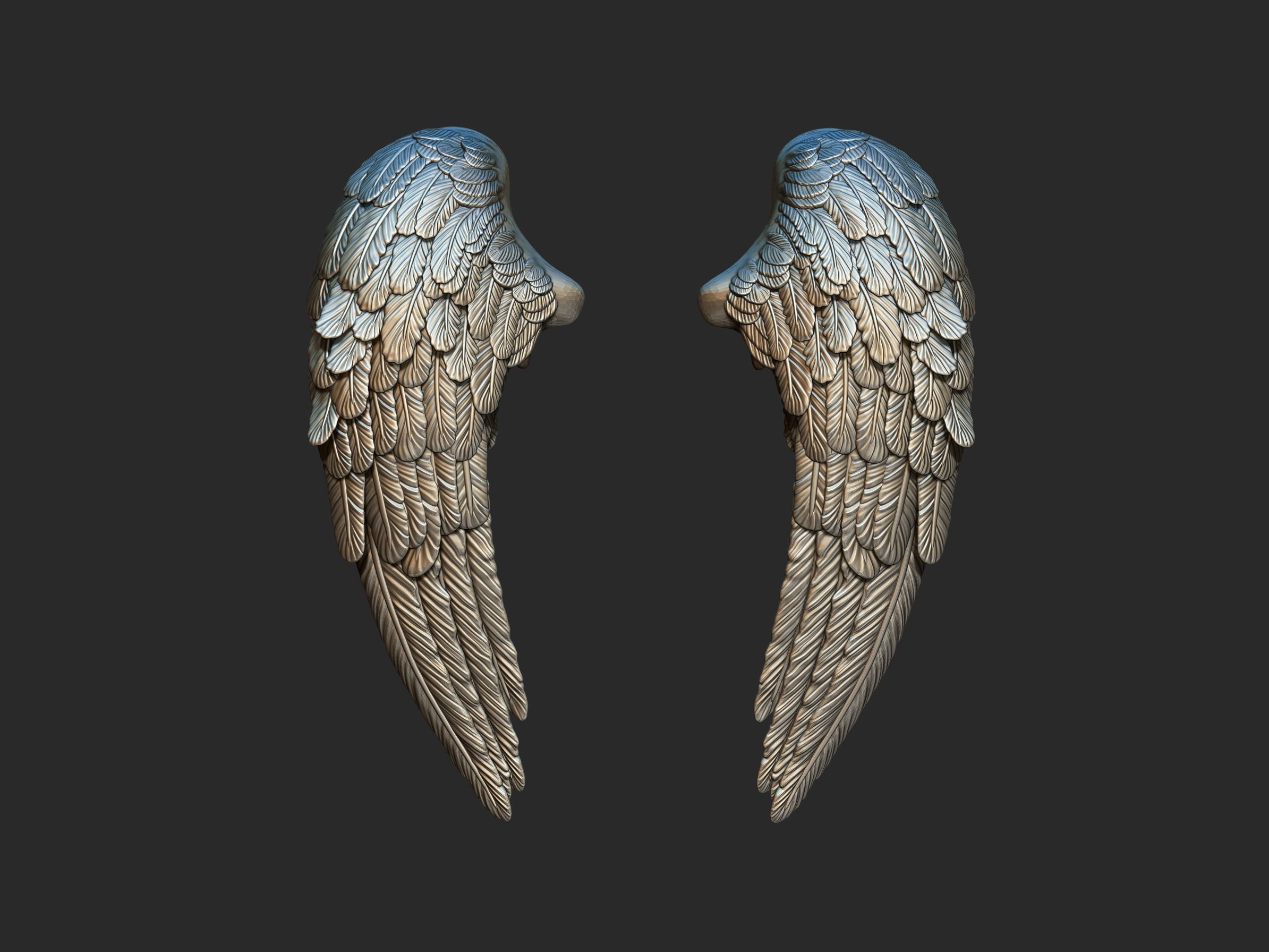 Wings 3d printing model 3D print model_3