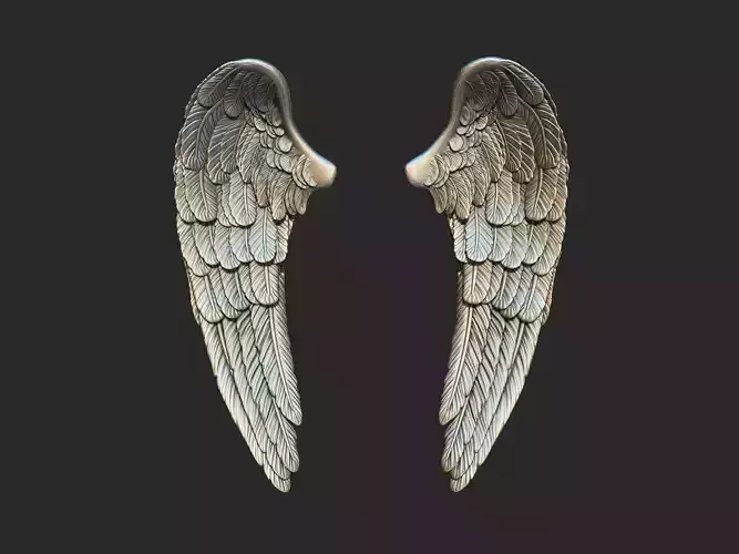 Wings 3d printing model