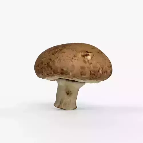 Photorealistic 3D scan of Champignon mushroom
