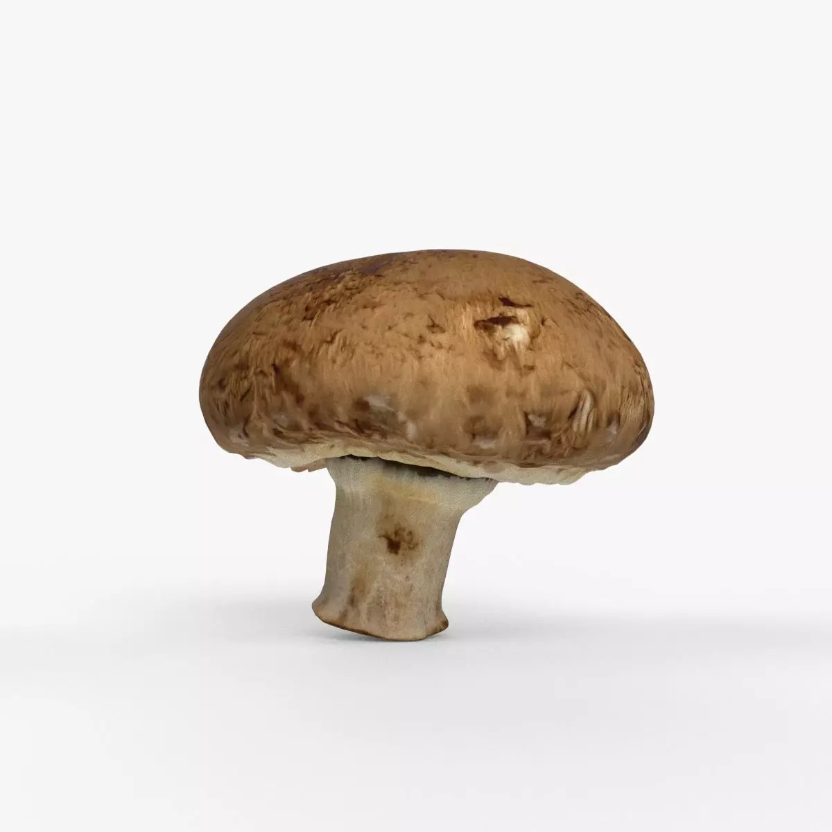 Photorealistic 3D scan of Champignon mushroom Low-poly 3D model