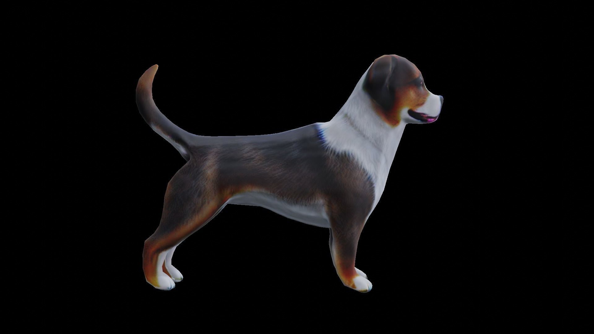 Low-poly dog Low-poly 3D model_3