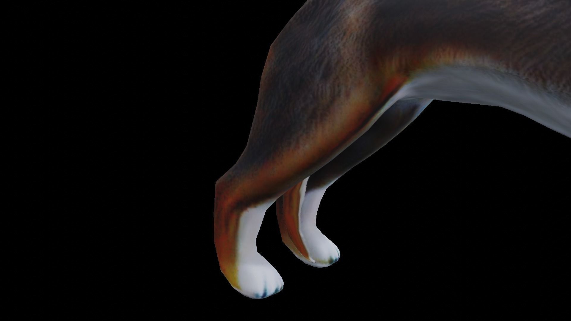 Low-poly dog Low-poly 3D model_20