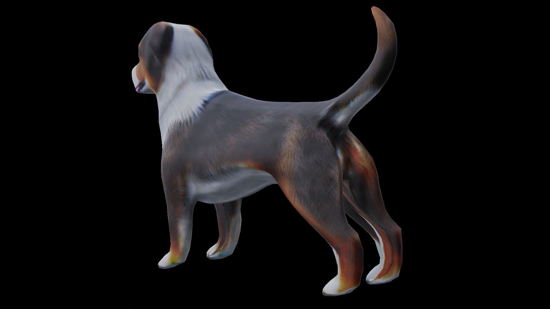 Low-poly dog Low-poly 3D model_13