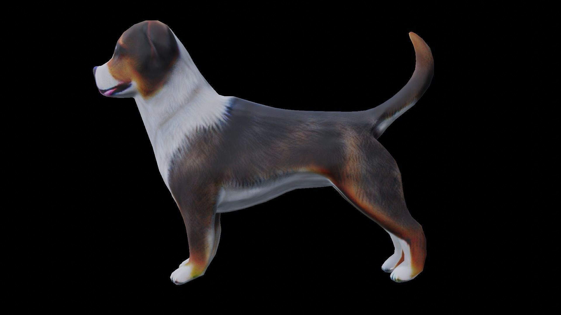Low-poly dog Low-poly 3D model_11