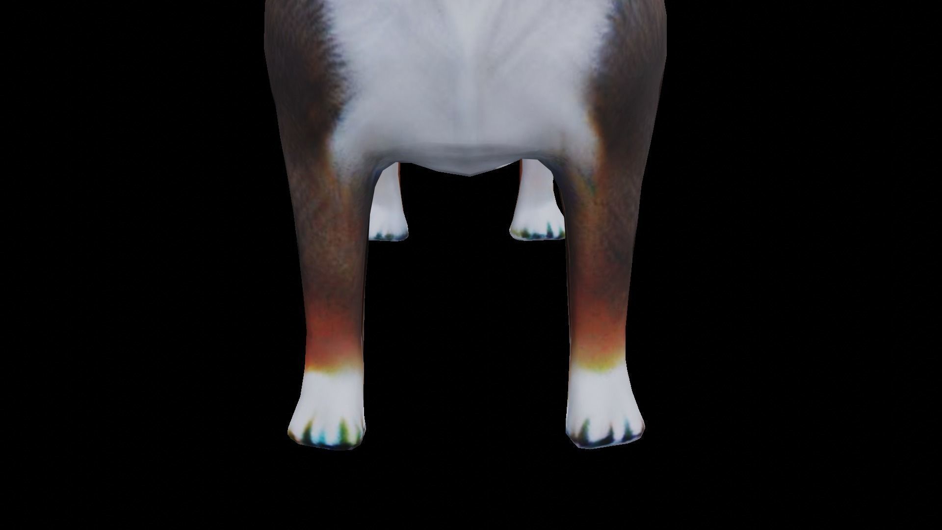 Low-poly dog Low-poly 3D model_17