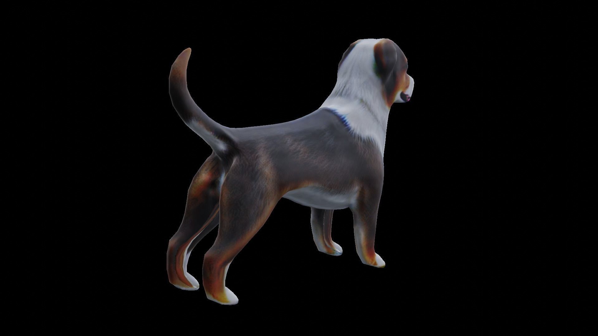 Low-poly dog Low-poly 3D model_4