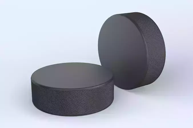 Hockey Puck