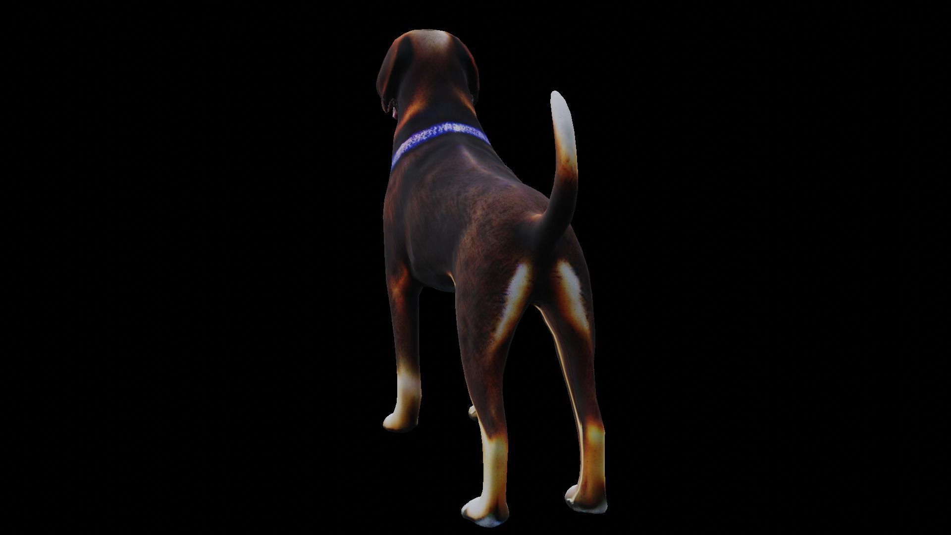 Low-poly Dog Low-poly 3D model_5