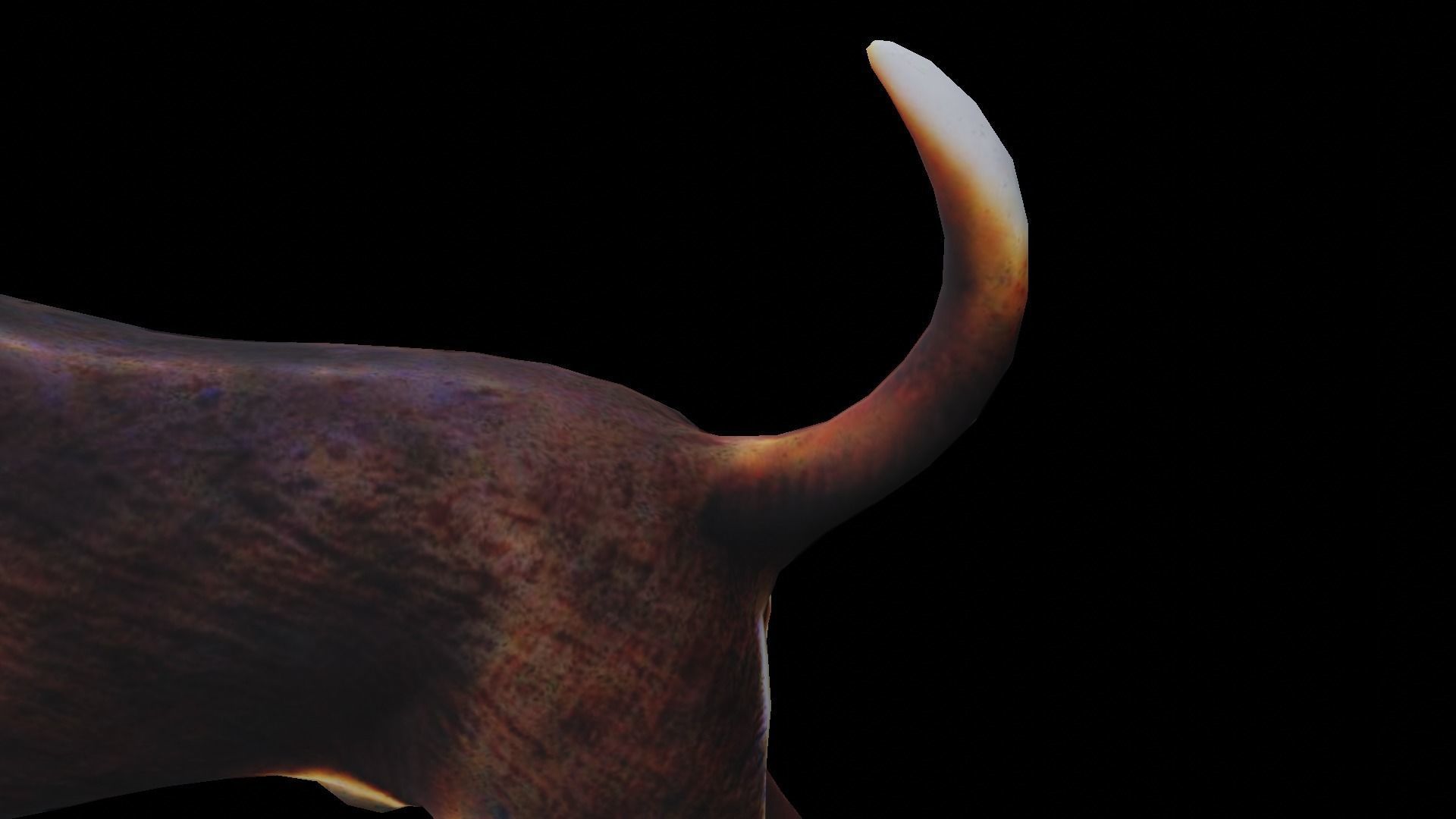 Low-poly Dog Low-poly 3D model_11