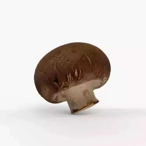Photorealistic 3D scan of Champignon mushroom Low-poly 3D model