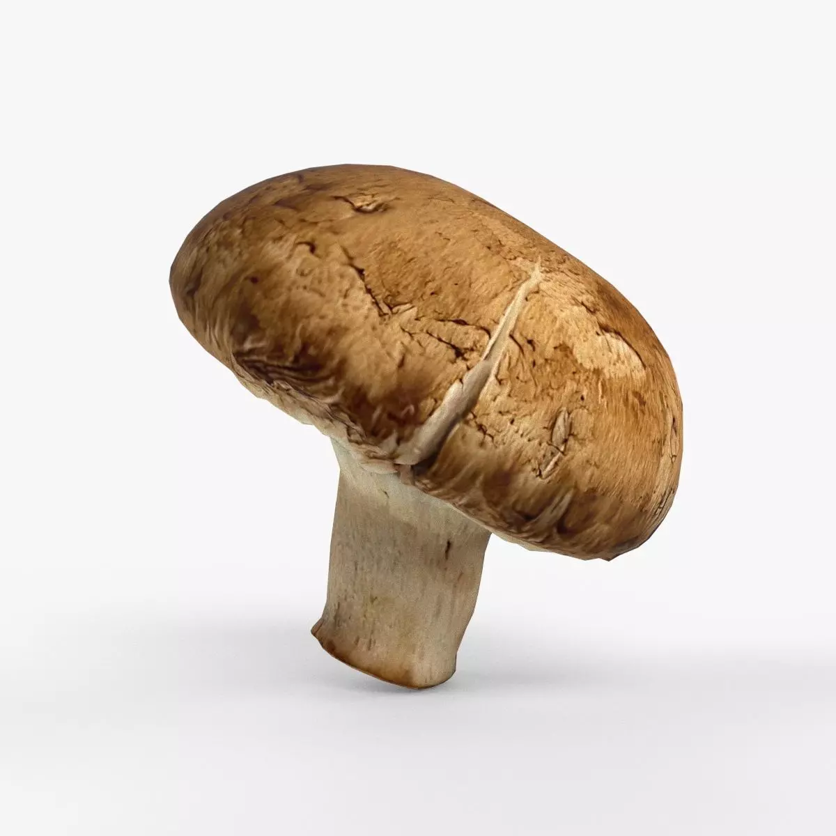 Photorealistic 3D scan of Champignon mushroom Low-poly 3D model