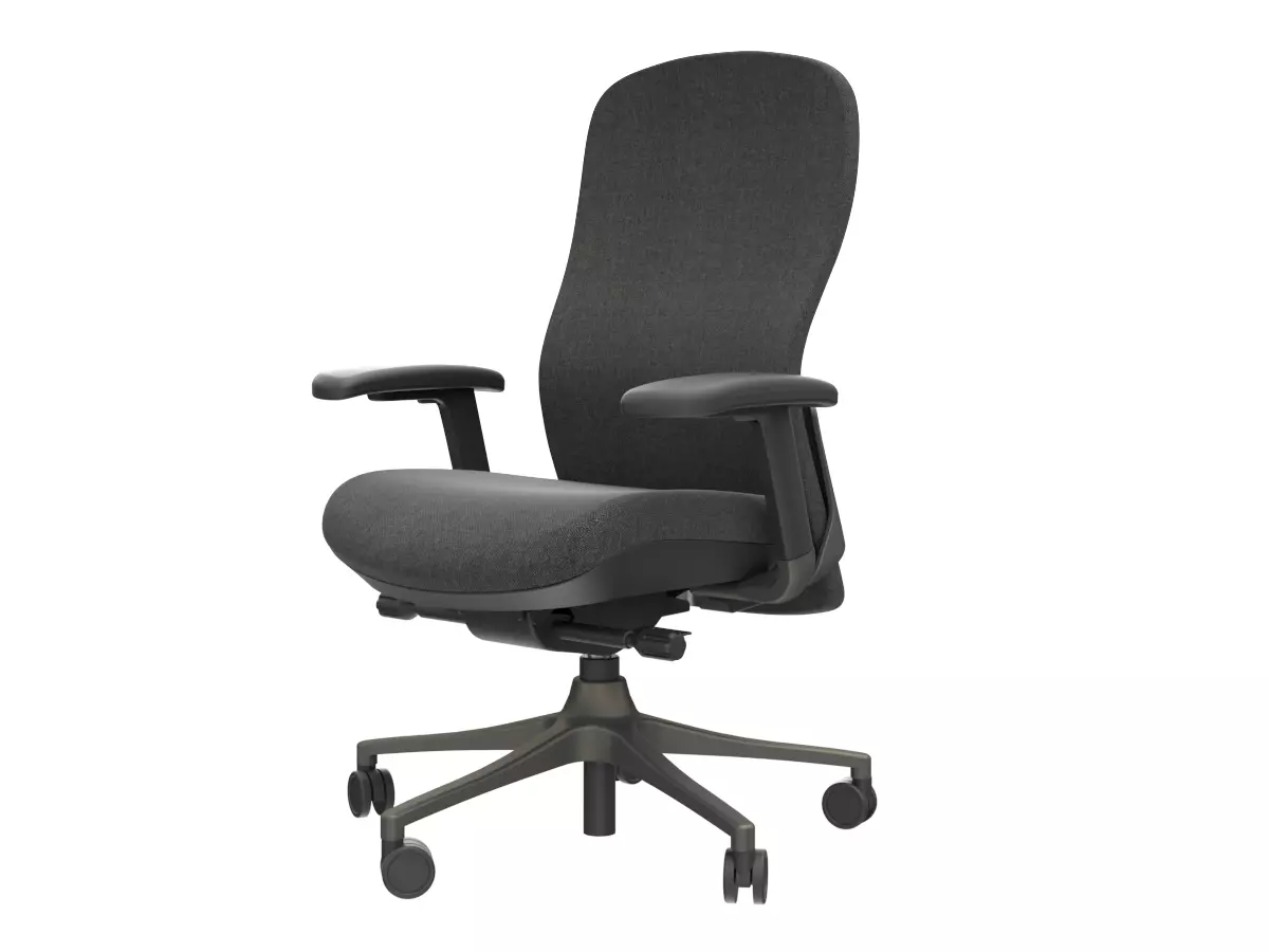 Ergonomic chair  3D model_0