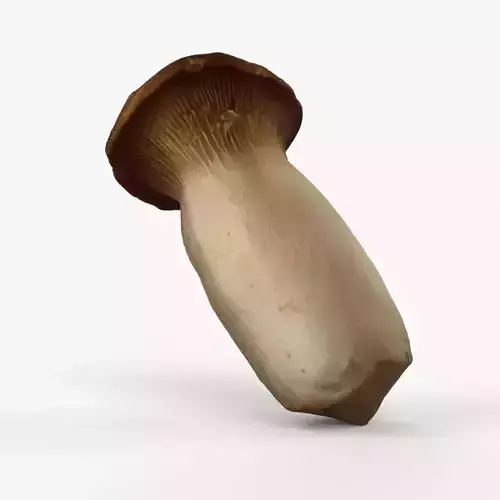 Photorealistic 3D scan of Oyster mushroom Low-poly 3D model