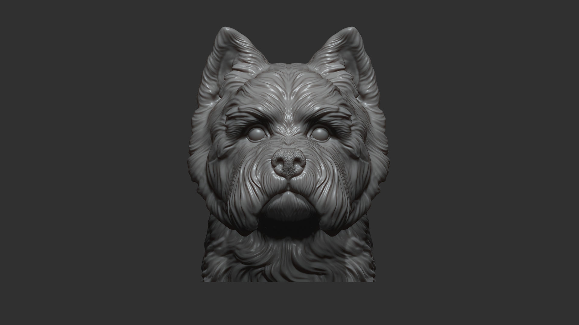 West Highland White Terrier bust 3D print model_10