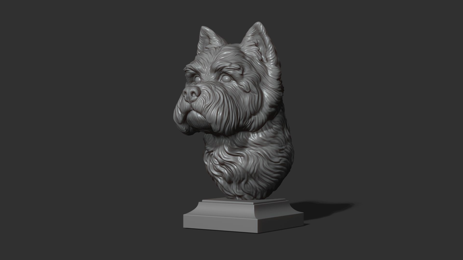 West Highland White Terrier bust 3D print model_14