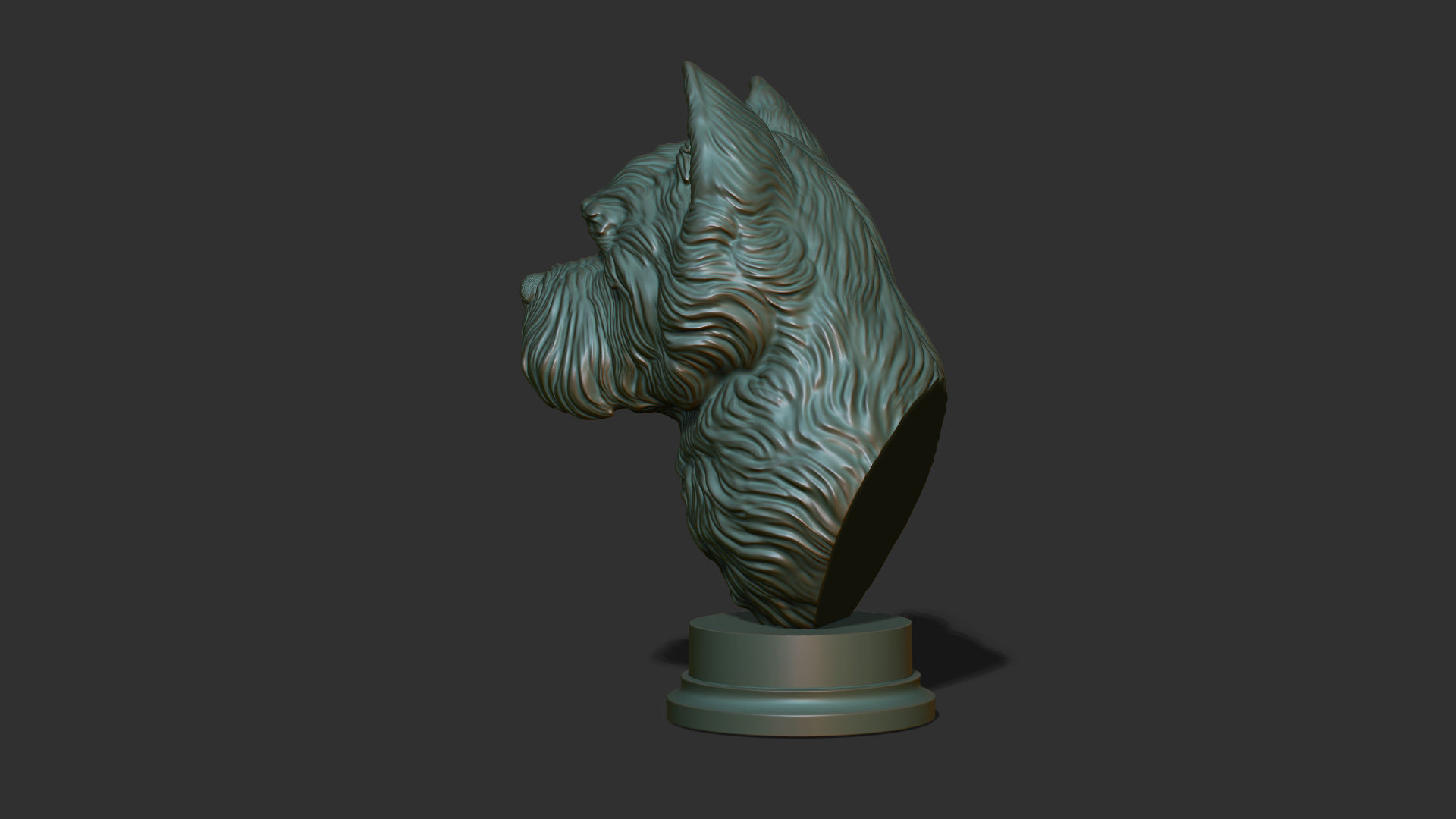 West Highland White Terrier bust 3D print model_18