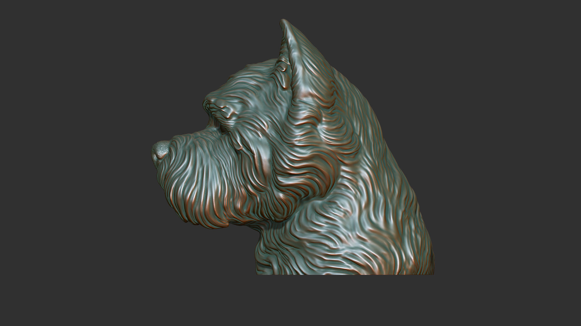 West Highland White Terrier bust 3D print model_12