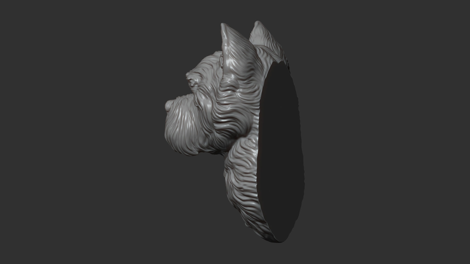 West Highland White Terrier bust 3D print model_5