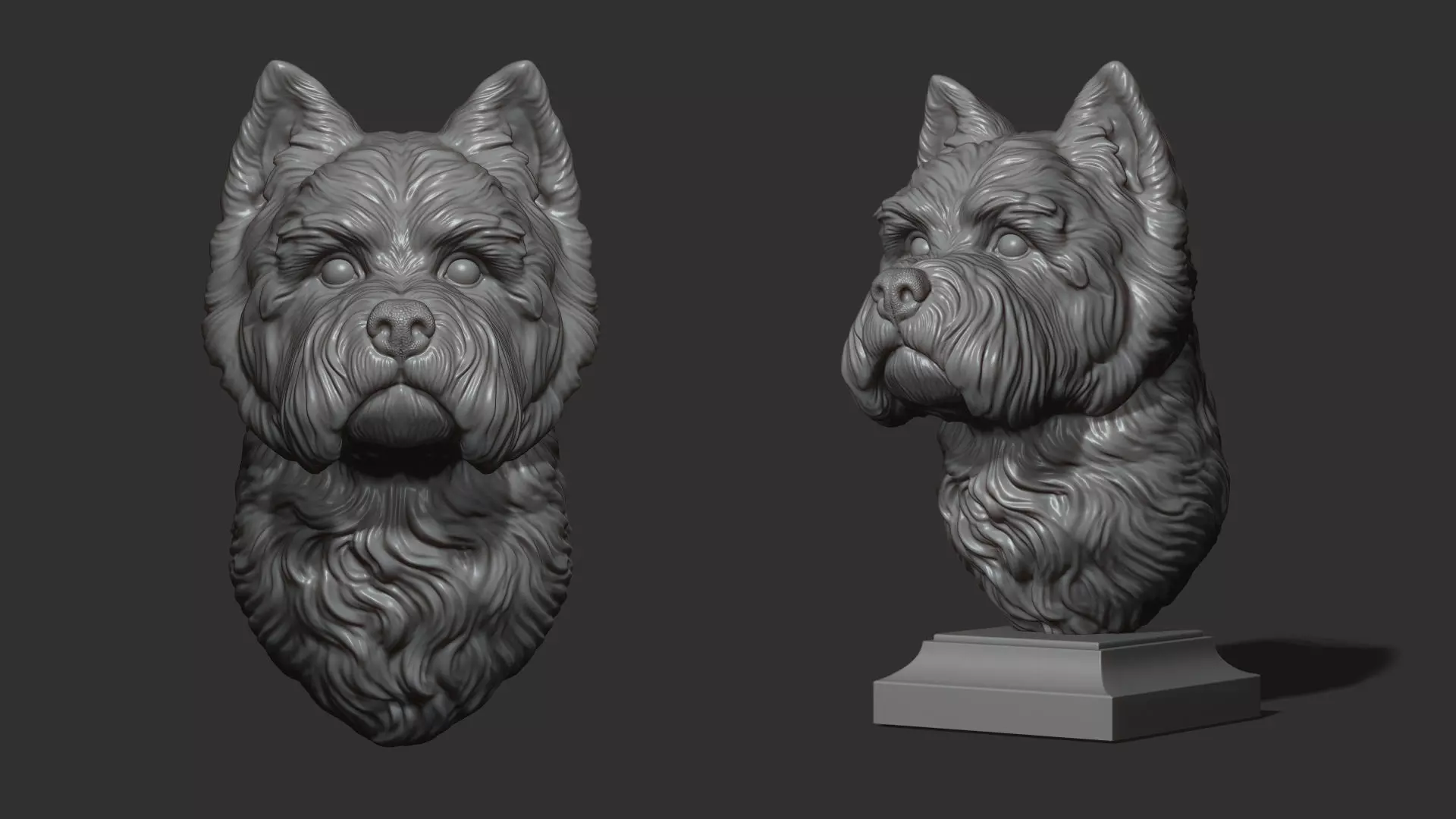 West Highland White Terrier bust 3D print model_0