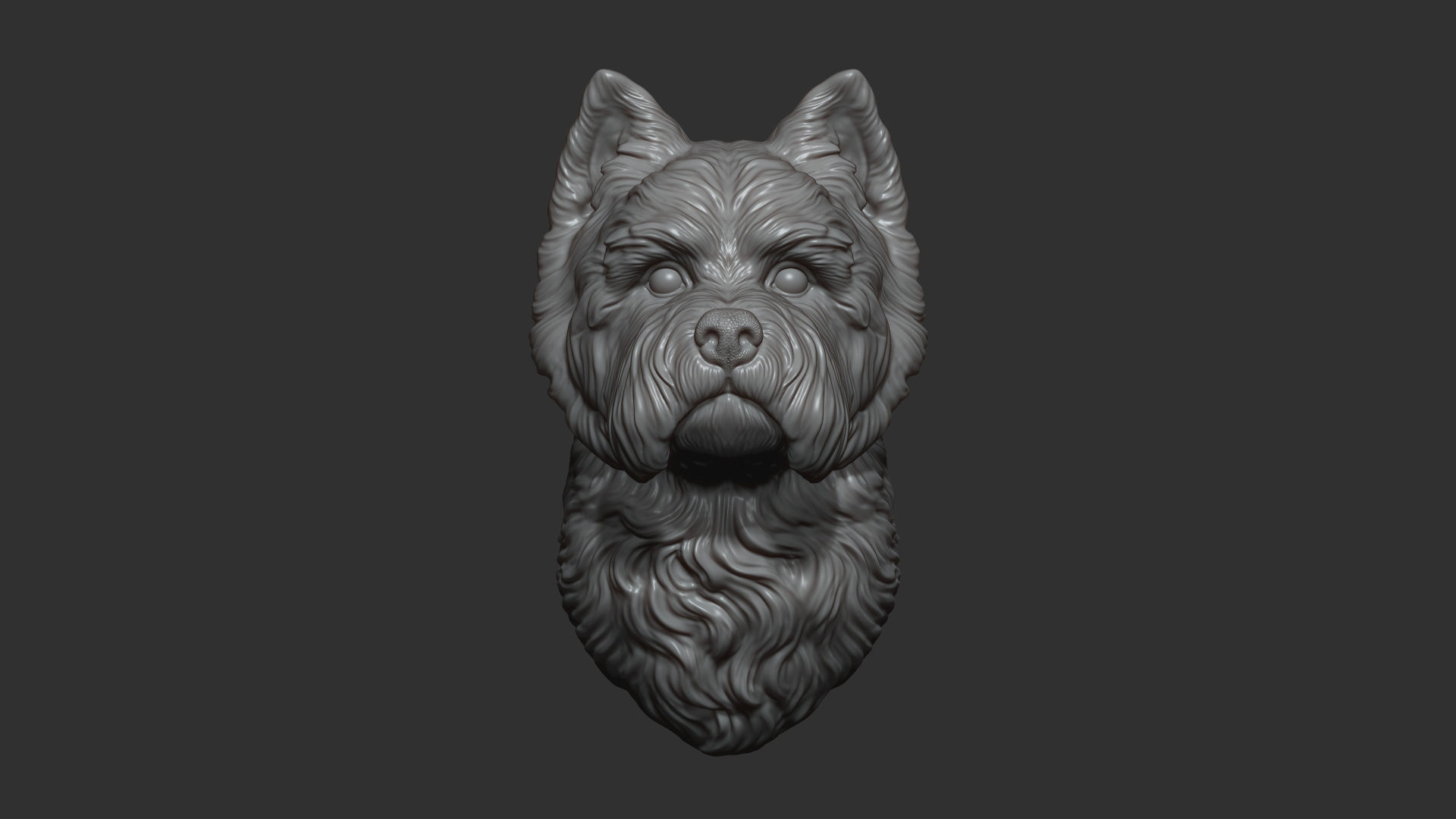 West Highland White Terrier bust 3D print model_3