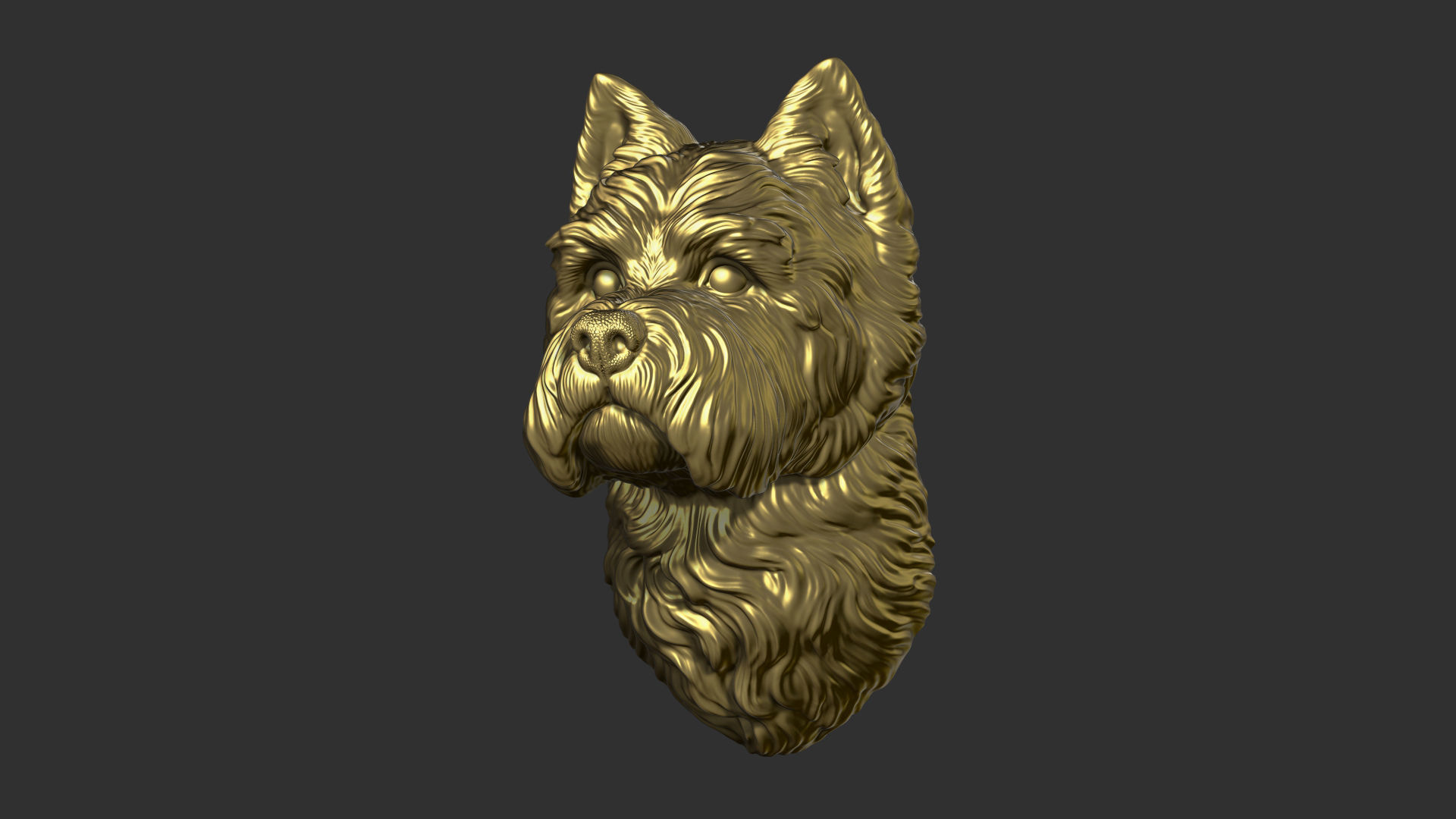 West Highland White Terrier bust 3D print model_9