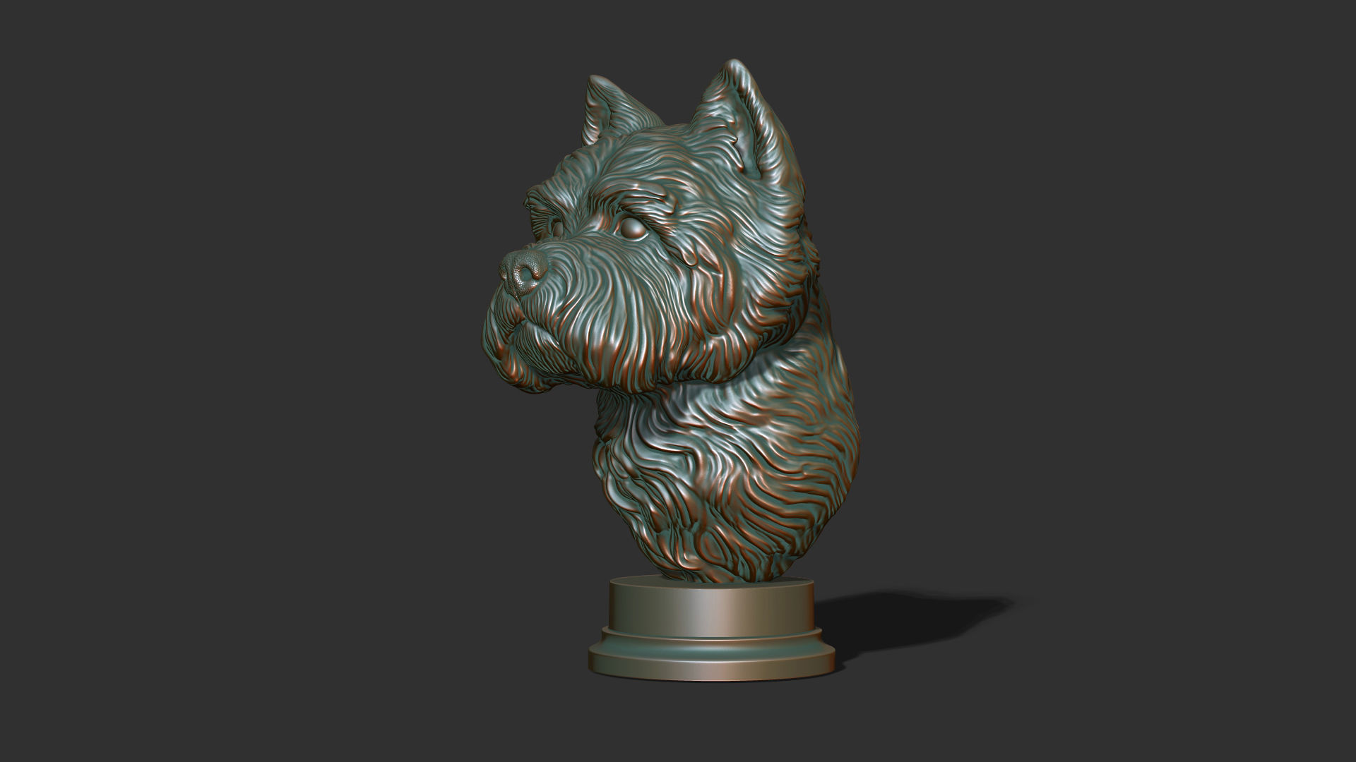 West Highland White Terrier bust 3D print model_17