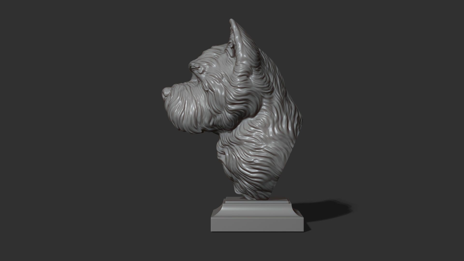 West Highland White Terrier bust 3D print model_15